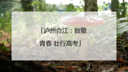 泸州合江：致敬青春 壮行高考